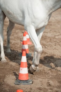 paard pionen