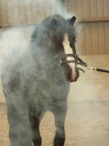 paard rookmachine