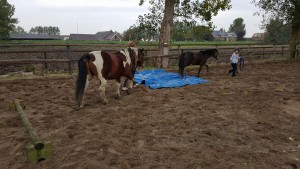 kinderfeestje